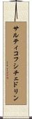 サルティコフ・シチェドリン Scroll