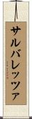 サルバレッツァ Scroll