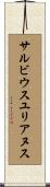 サルビウスユリアヌス Scroll