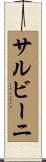 サルビーニ Scroll