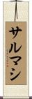 サルマシ Scroll