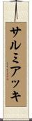 サルミアッキ Scroll