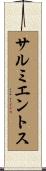 サルミエントス Scroll