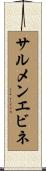 サルメンエビネ Scroll