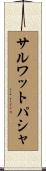サルワットパシャ Scroll