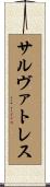 サルヴァトレス Scroll