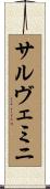 サルヴェミニ Scroll