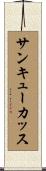 サンキューカッス Scroll