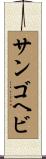 サンゴヘビ Scroll