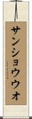 サンショウウオ Scroll