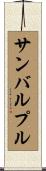 サンバルプル Scroll
