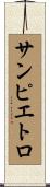 サンピエトロ Scroll