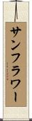 サンフラワー Scroll