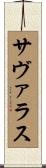 サヴァラス Scroll
