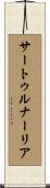 サートゥルナーリア Scroll