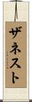 ザネスト Scroll