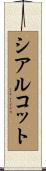 シアルコット Scroll