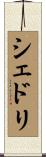 シェドリ Scroll
