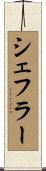 シェフラー Scroll