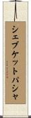 シェブケットパシャ Scroll