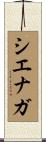 シエナガ Scroll