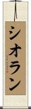 シオラン Scroll
