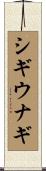 シギウナギ Scroll
