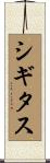 シギタス Scroll