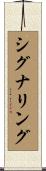 シグナリング Scroll