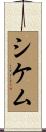 シケム Scroll