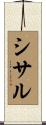 シサル Scroll