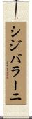 シジバラーニ Scroll
