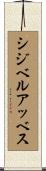 シジベルアッベス Scroll