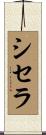 シセラ Scroll