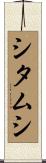 シタムシ Scroll