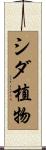 シダ植物 Scroll