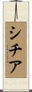 シチア Scroll