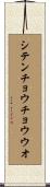 シテンチョウチョウウオ Scroll