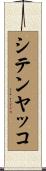 シテンヤッコ Scroll