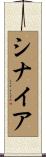 シナイア Scroll
