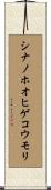 シナノホオヒゲコウモリ Scroll
