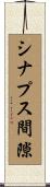シナプス間隙 Scroll