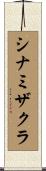 シナミザクラ Scroll