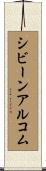 シビーンアルコム Scroll