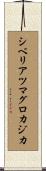 シベリアツマグロカジカ Scroll