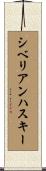 シベリアン・ハスキー Scroll