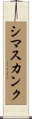 シマスカンク Scroll