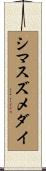 シマスズメダイ Scroll