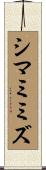 シマミミズ Scroll