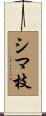シマ枝 Scroll
